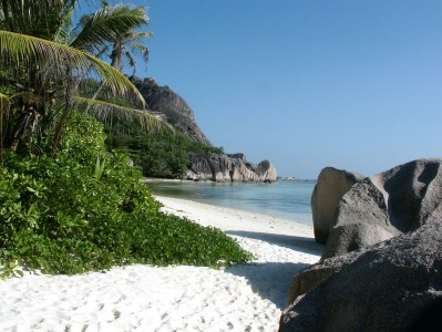开云体育APP下载-森林狼啃噬太阳 班凯罗冰血破关，新生代正在改写联盟叙事