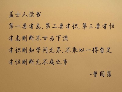 开云体育-跨界风云，掘金胜开拓者赛场告捷，浓眉F1街道赛速度称王