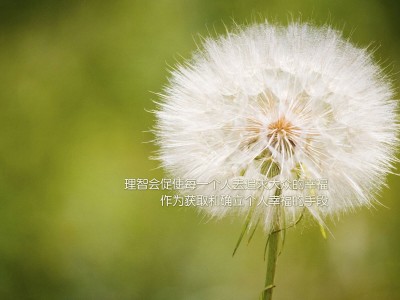 开云体育APP下载-浴火重生，哈登加时救主，勇士险胜掘金