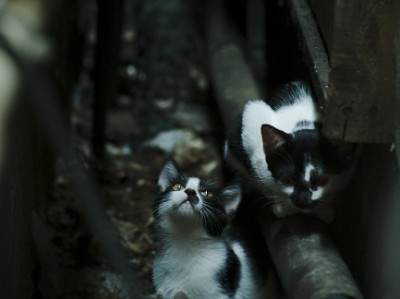 开云体育中国-葡萄牙打穿哥伦比亚，伊萨克关键回合不手软，完成致命一击