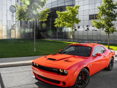 开云体育下载-蓝鹰翱翔波斯湾，拉齐奥战术铁腕压制沙特，孔德化身胜负手