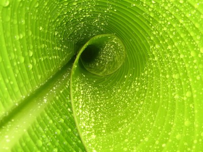 开云APP-东岸篮网摧枯拉朽，西岸詹皇君临天下