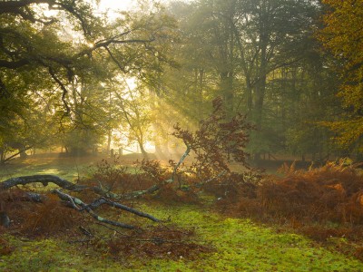 开云体育在线-封神之夜，2026世界杯，梅西以最沉默的方式咆哮