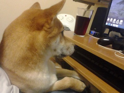 开云官网-NBA季后赛焦点战与沙特打穿马里，全球体育热潮的双重奏