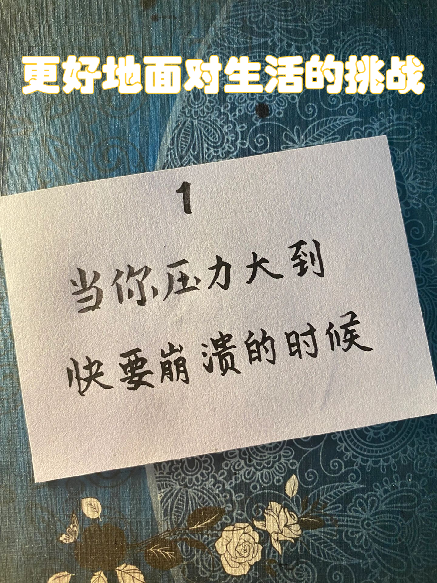 苏格兰队遭遇艰难挑战，压力山大的简单介绍
