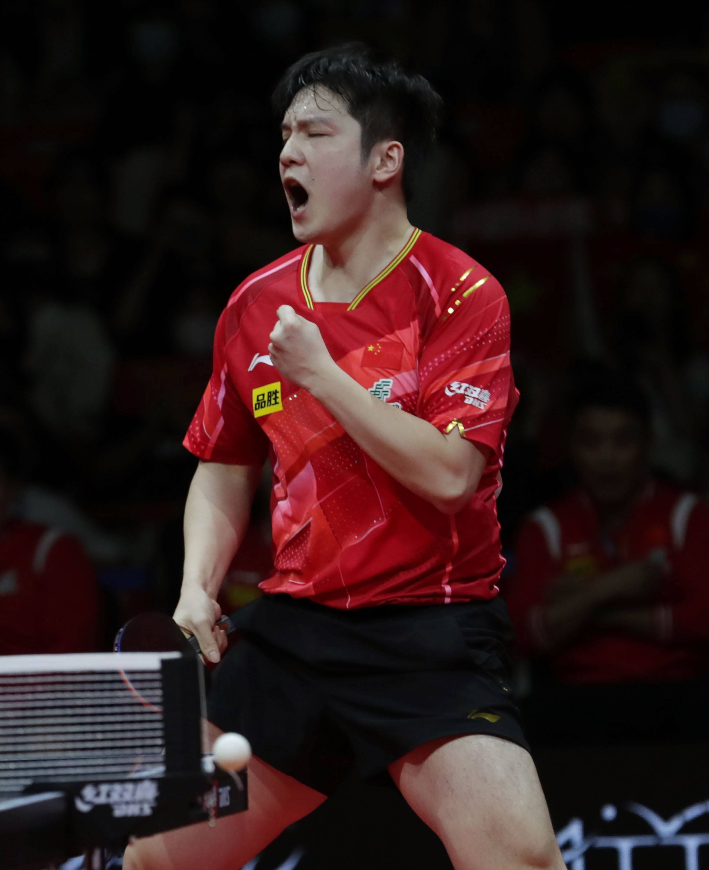 关于中国乒乓球队绝地反击德国乒乓球队，樊振东高光表现的信息