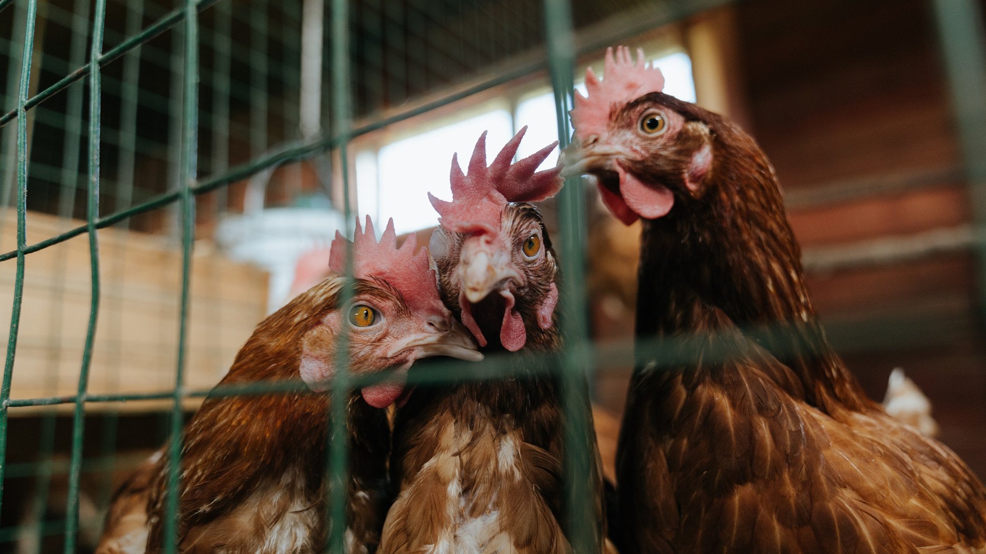 火箭升空!米切尔末节19分锁定胜局