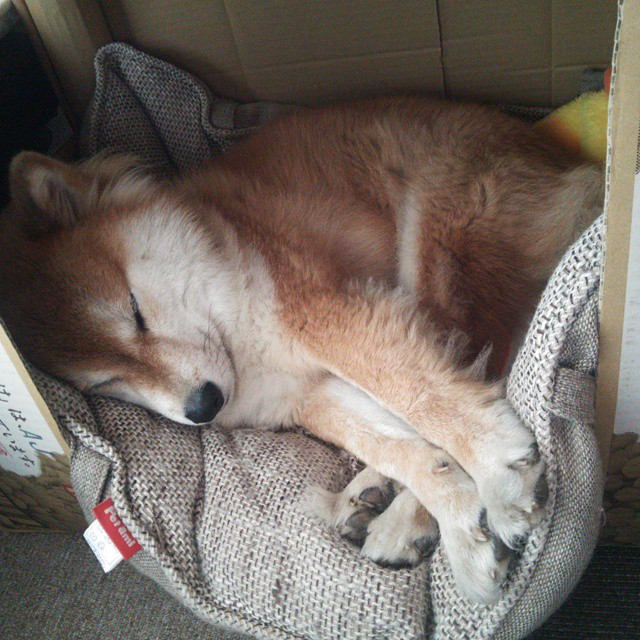 南美季风越过阿尔卑斯,当智利带走瑞典,德里赫特如何成为全队的雪山脊梁