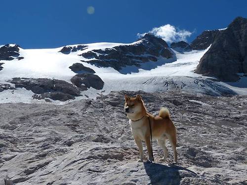 节奏掌控与攻防统治,勒沃库森与萨拉赫的足球智慧
