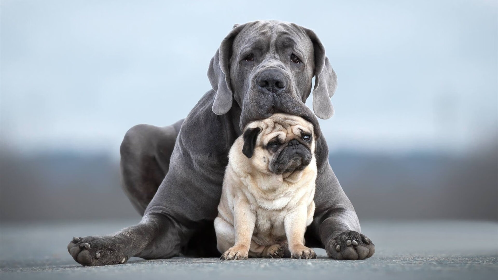 跨界狂欢,2026世界杯之夜的哈登奇迹