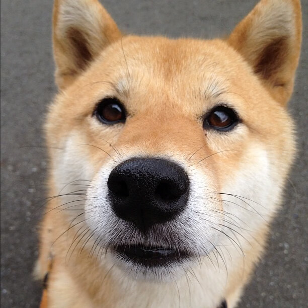 跨界体育奇观，尼日利亚生死战绝杀罗马，孙兴慜NBA总决赛颠覆传统