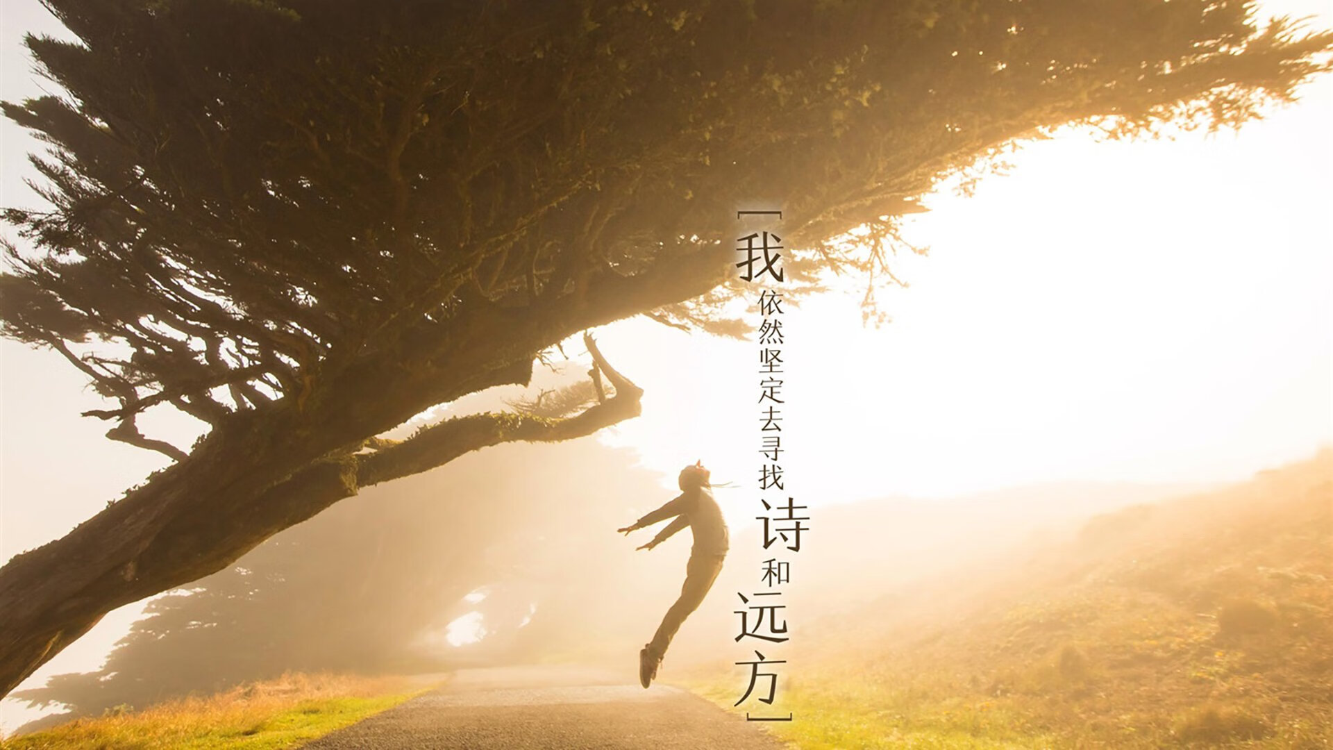 亚洲之矛刺穿北非铁壁，李刚仁巴黎奥运周期关键战接管全场