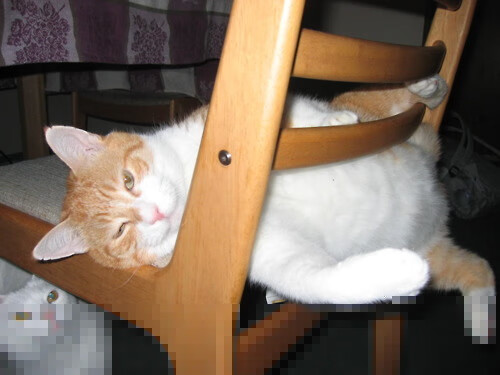 当非洲鼓点震碎德甲铠甲，南非世界杯预演战击溃勒沃库森的启示