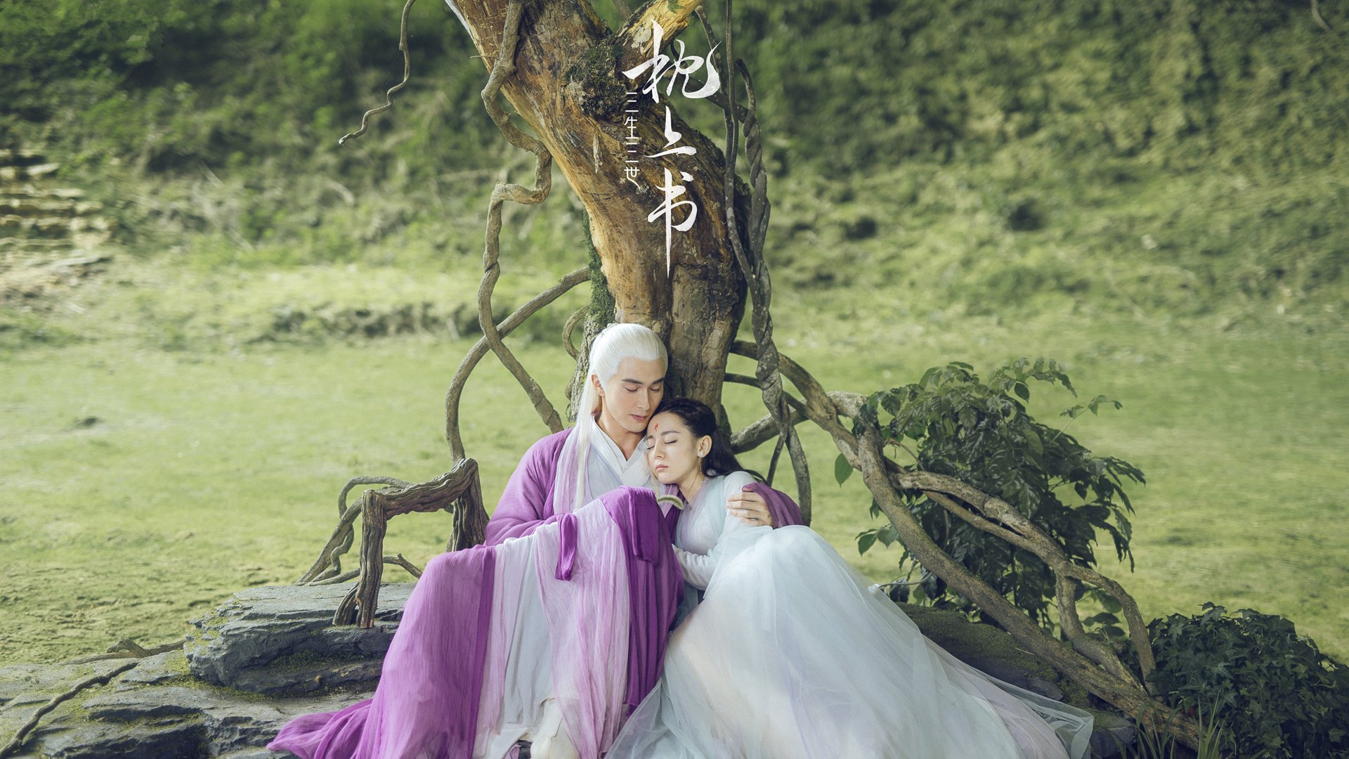 绝境王牌与血肉城墙,范弗利特的致命一击与奇才的君临之夜