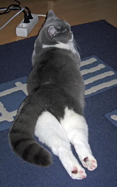 姆巴佩的致命弧线,一场虚拟对决如何折射地缘政治足球的荒诞现实