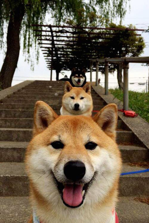 辽宁铁蹄踏平开拓者,乔治临危救主化身关键先生