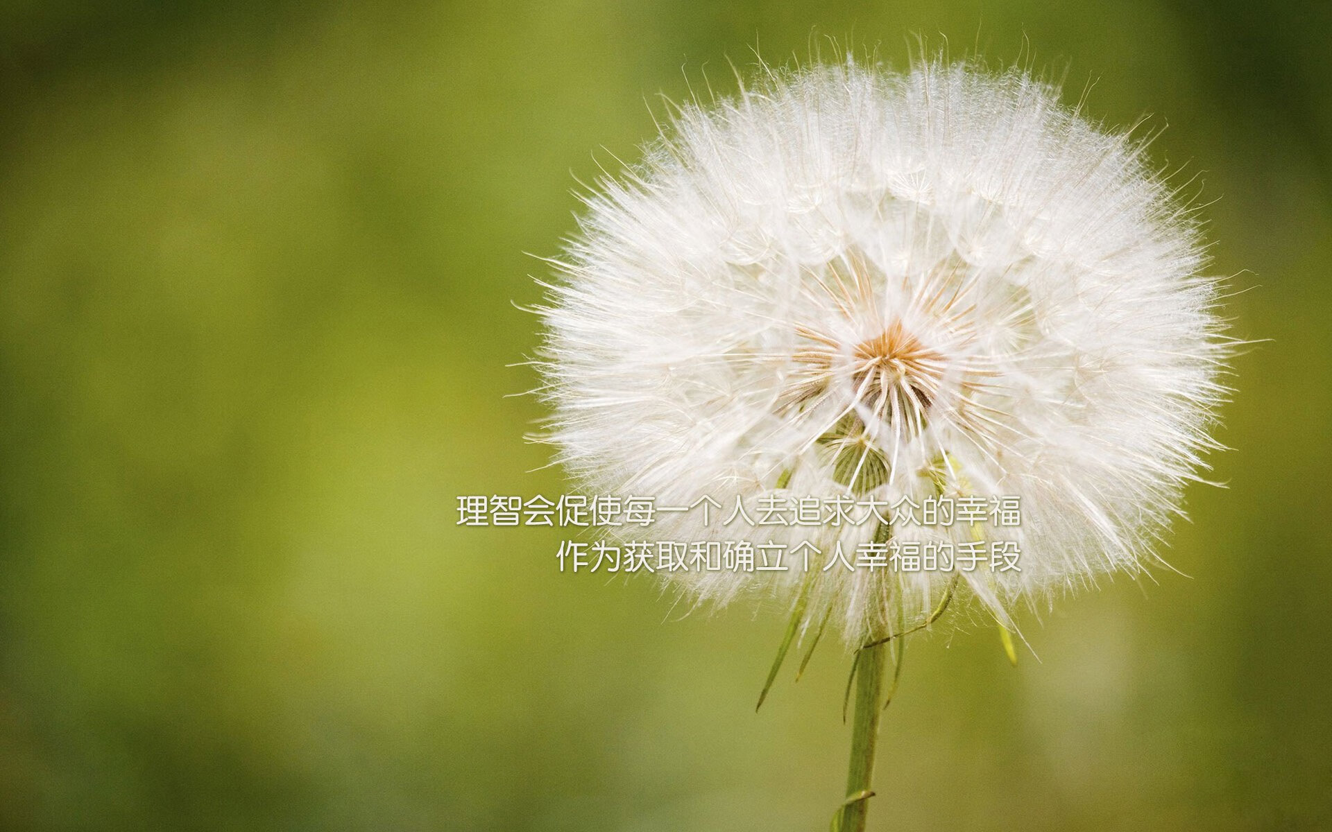 字母哥创里程碑之夜，骑士三节打崩76人，新时代的号角与旧秩序的挽歌