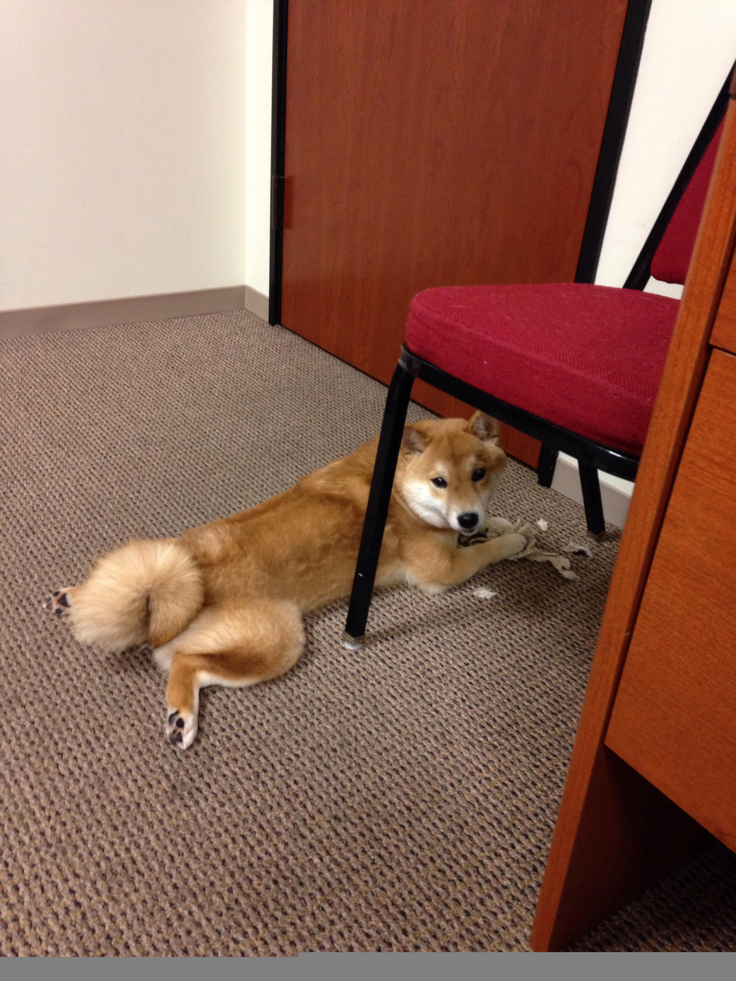 独赢,当决胜局需要英雄,他便走来