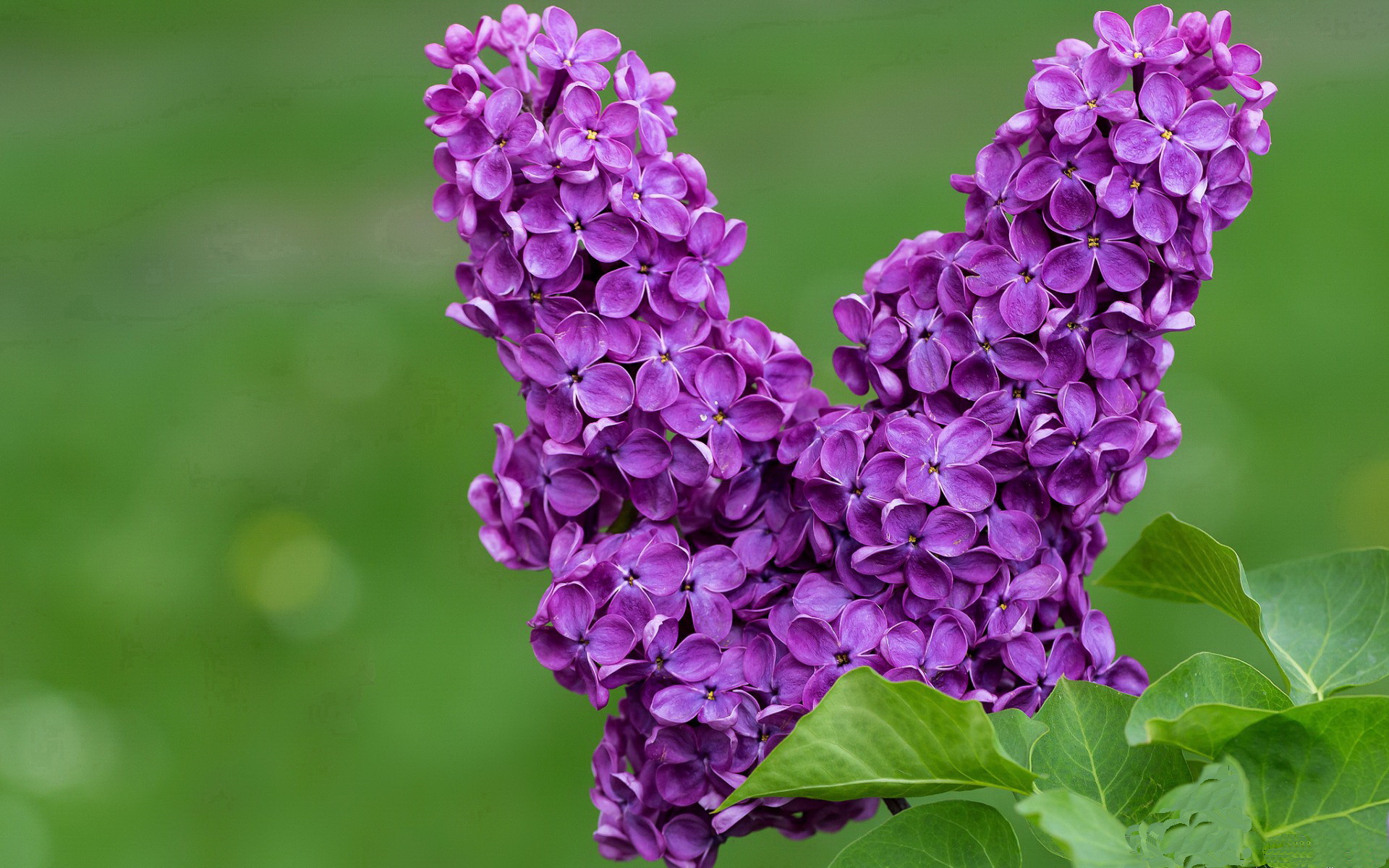 当不朽遇见无解,詹姆斯史诗夜与篮球之神的对话