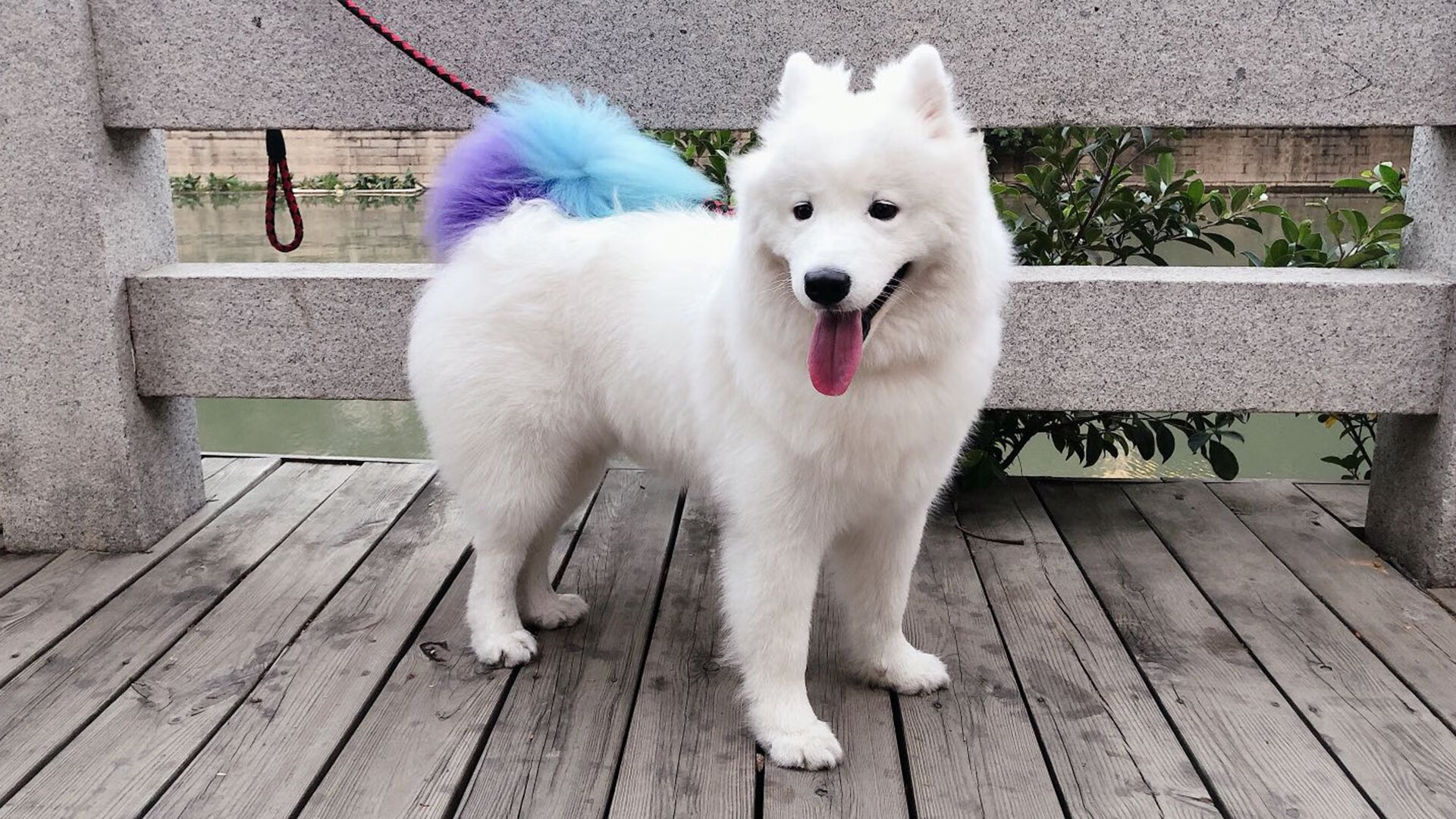 他面无表情擦去血迹,耳边却已响起征服欧洲的浩荡回响—欧冠半决赛的君王诞生记