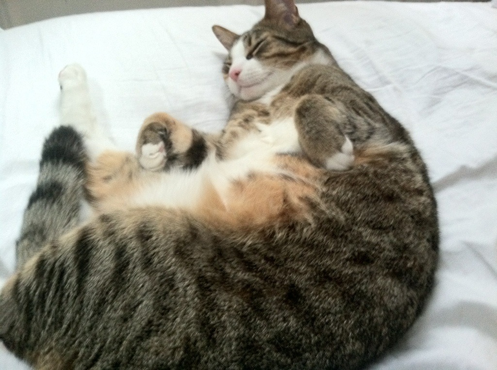 班凯罗，当沉默的刺客亮出刀锋，凯尔特人只用了三分钟就改写了国王的命运