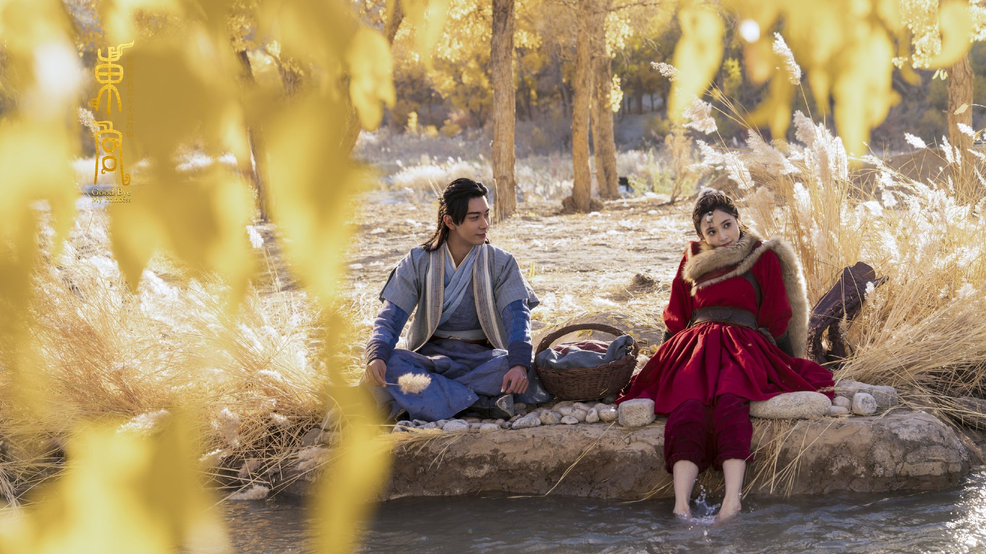 篮球之火，从CBA到德甲，不同战场以不同方式点燃